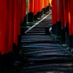 Gates of Olympus 1000 слот игра с Зевсом и молниями на Олимпе