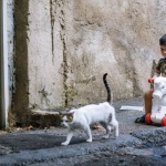 Милая кошка Клеопатра в короне из игры Cleocatra