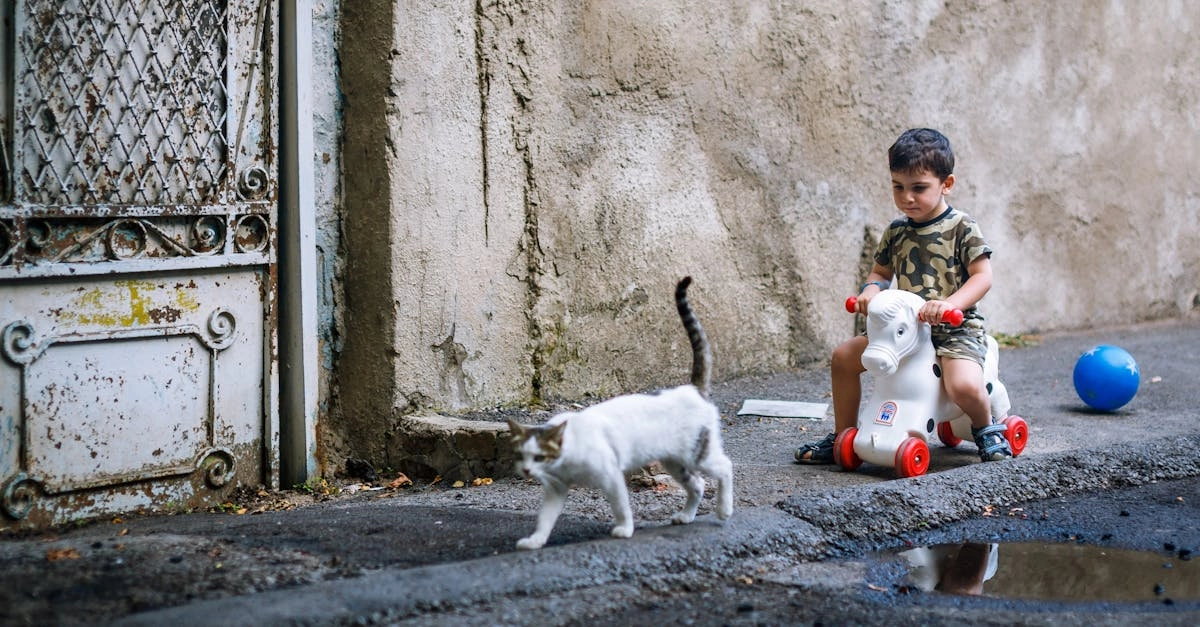 Милая кошка Клеопатра в короне из игры Cleocatra